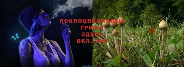 твердый Алзамай